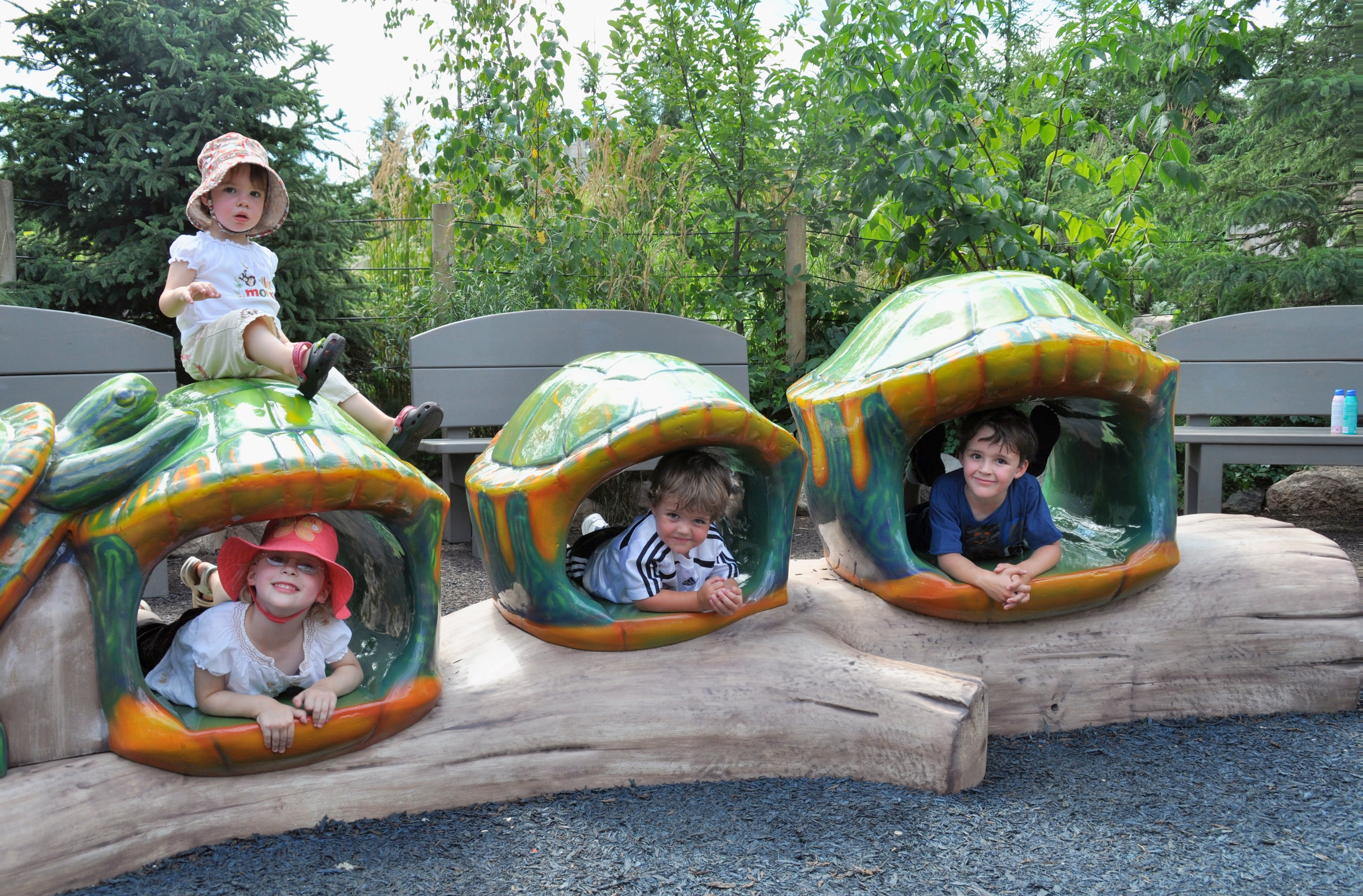 Four grandkids
